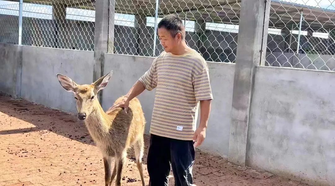 捕鱼第9代